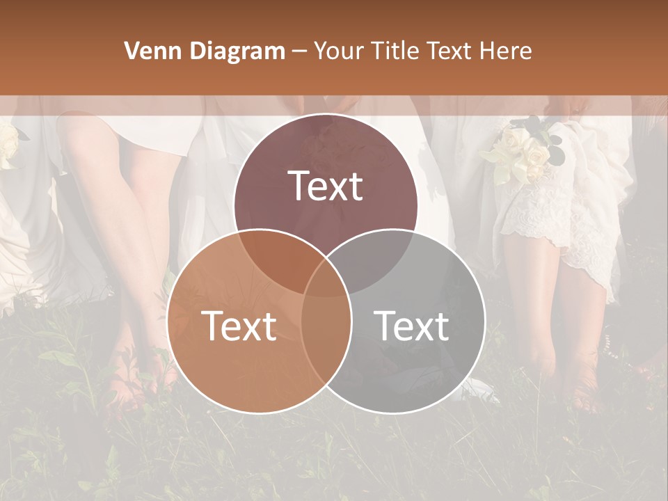 A Group Of Women In White Dresses Sitting On The Grass PowerPoint Template