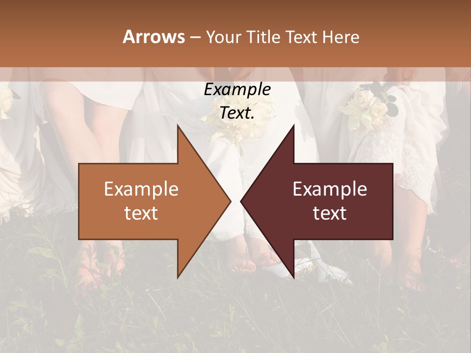 A Group Of Women In White Dresses Sitting On The Grass PowerPoint Template