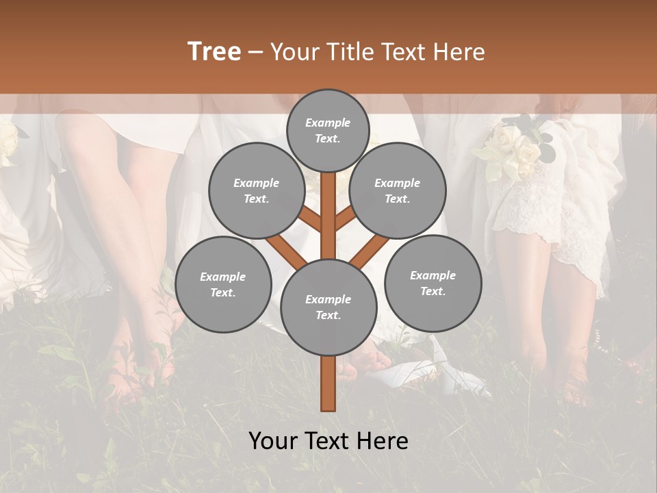 A Group Of Women In White Dresses Sitting On The Grass PowerPoint Template
