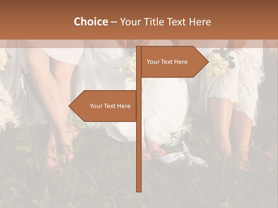 A Group Of Women In White Dresses Sitting On The Grass PowerPoint Template