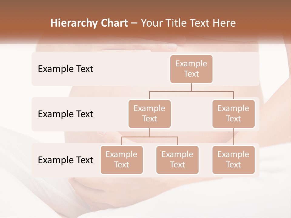 A Pregnant Woman Holding Her Belly In Her Hands PowerPoint Template