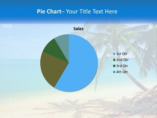 A Palm Tree Sitting On Top Of A Sandy Beach PowerPoint Template