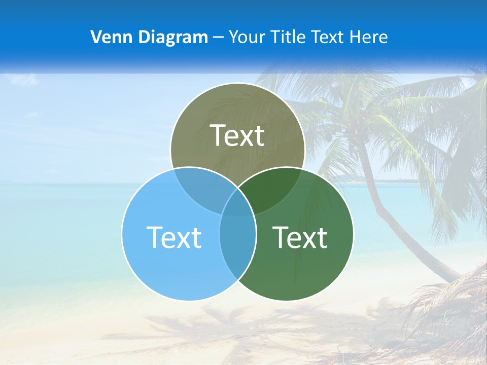 A Palm Tree Sitting On Top Of A Sandy Beach PowerPoint Template