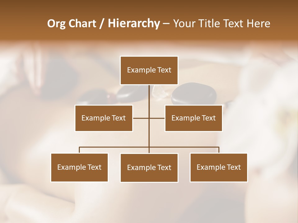 A Woman Getting A Back Massage At A Spa PowerPoint Template