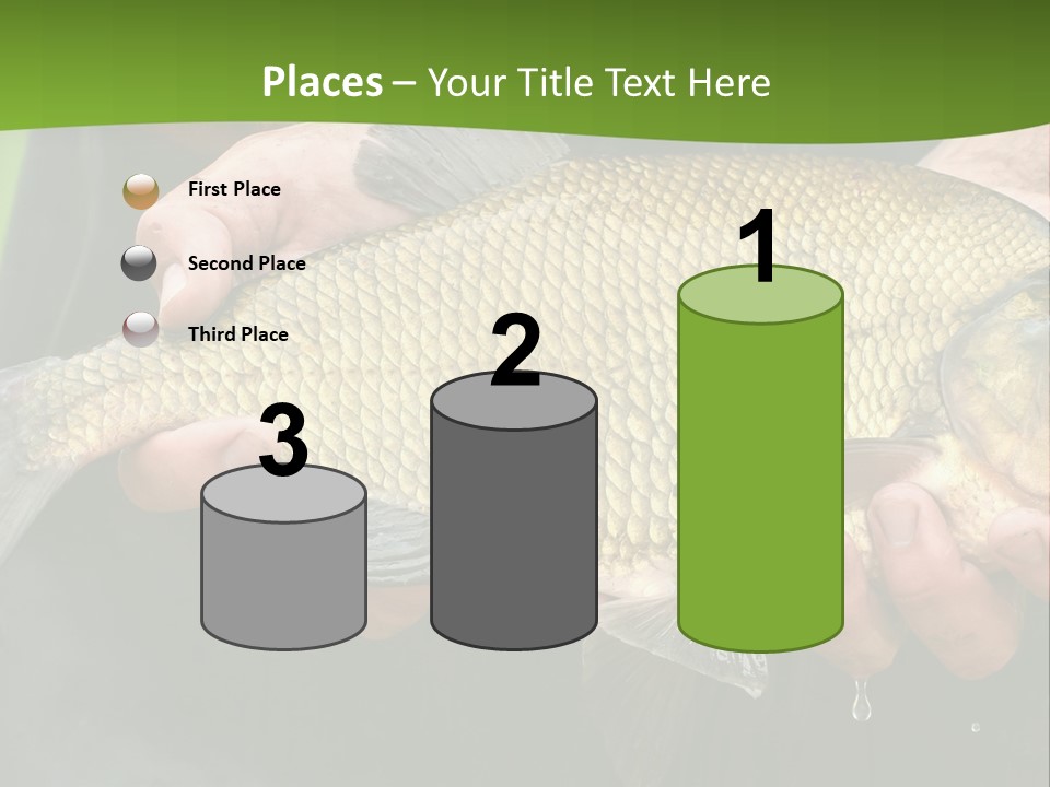 A Person Holding A Fish In Their Hands PowerPoint Template