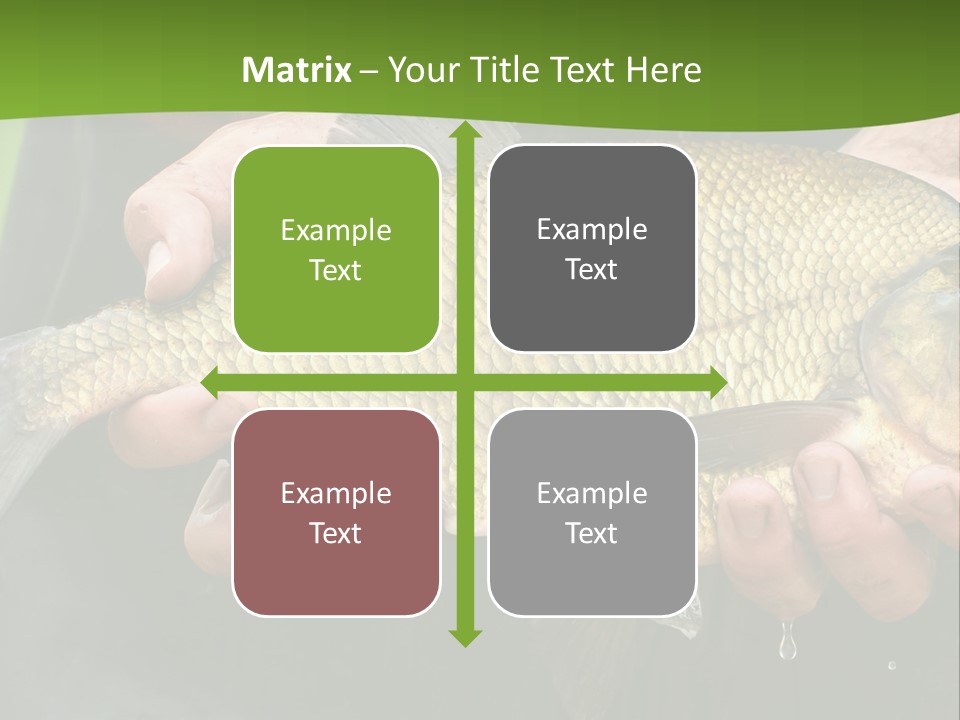 A Person Holding A Fish In Their Hands PowerPoint Template