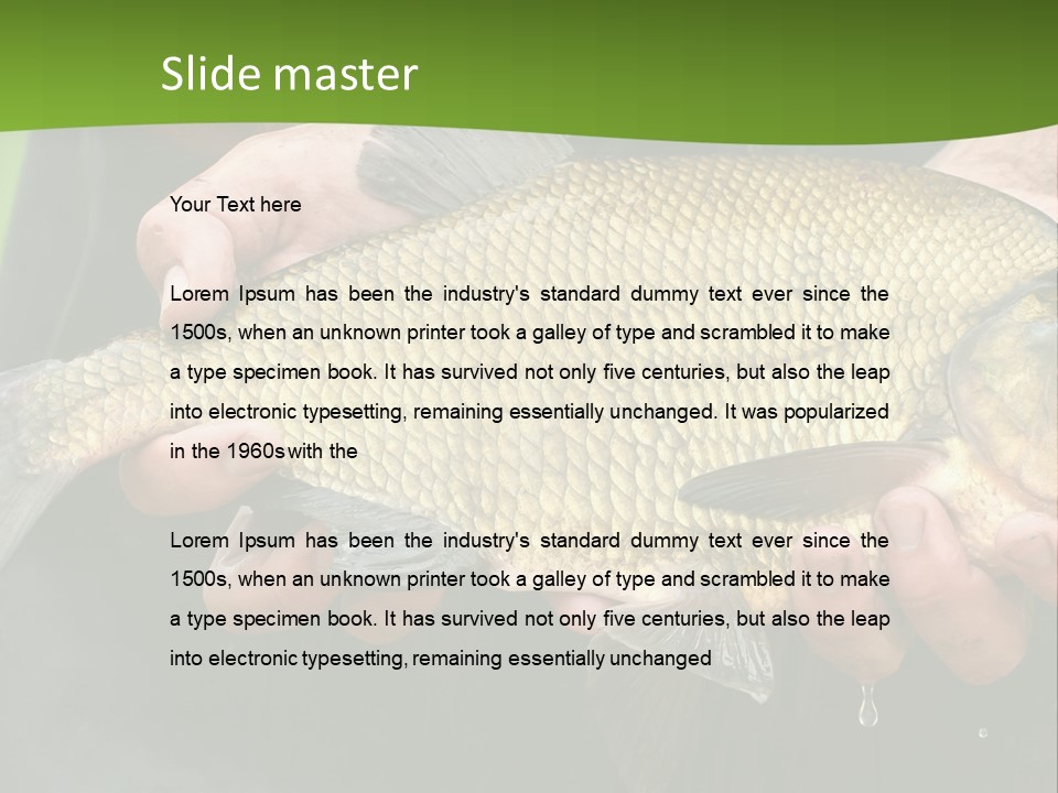 A Person Holding A Fish In Their Hands PowerPoint Template