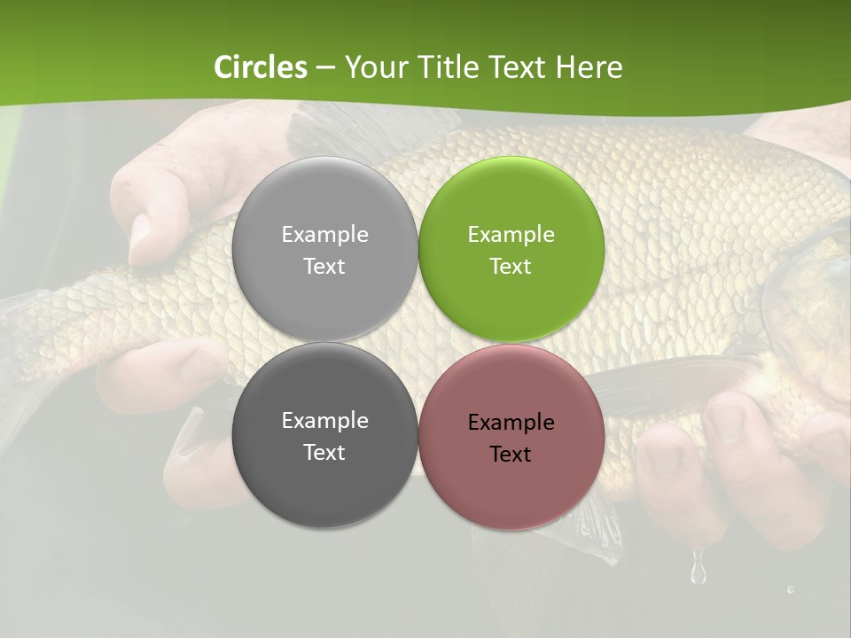 A Person Holding A Fish In Their Hands PowerPoint Template