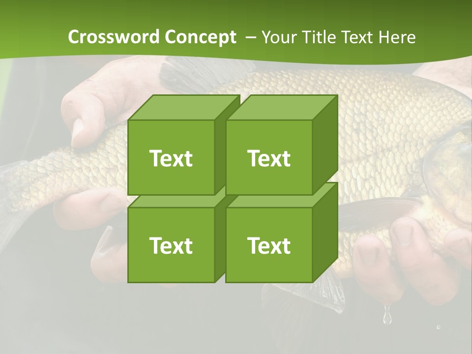 A Person Holding A Fish In Their Hands PowerPoint Template