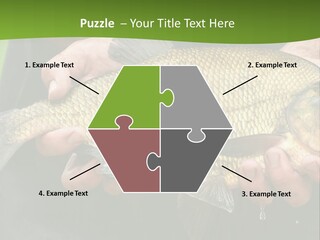 A Person Holding A Fish In Their Hands PowerPoint Template