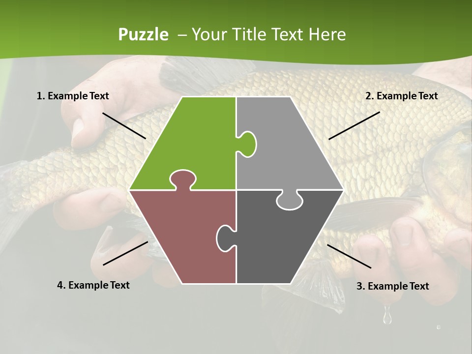 A Person Holding A Fish In Their Hands PowerPoint Template