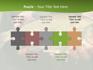A Person Holding A Fish In Their Hands PowerPoint Template