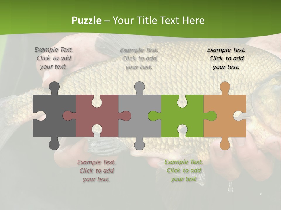 A Person Holding A Fish In Their Hands PowerPoint Template