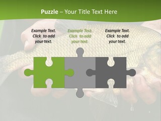 A Person Holding A Fish In Their Hands PowerPoint Template