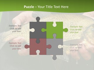 A Person Holding A Fish In Their Hands PowerPoint Template