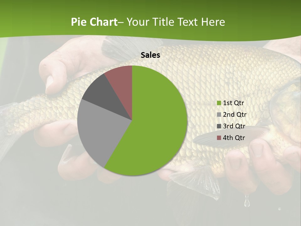 A Person Holding A Fish In Their Hands PowerPoint Template