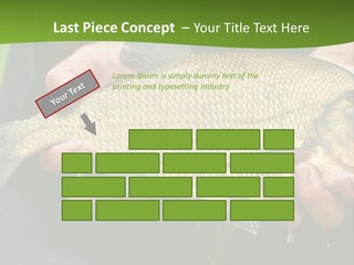 A Person Holding A Fish In Their Hands PowerPoint Template