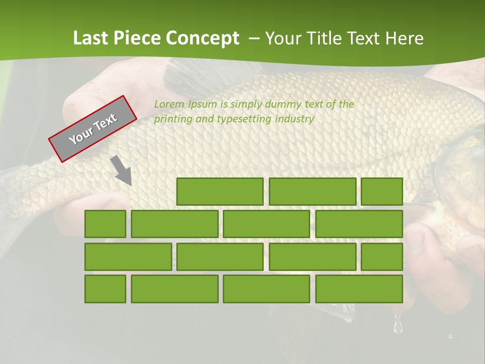 A Person Holding A Fish In Their Hands PowerPoint Template