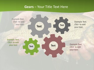 A Person Holding A Fish In Their Hands PowerPoint Template