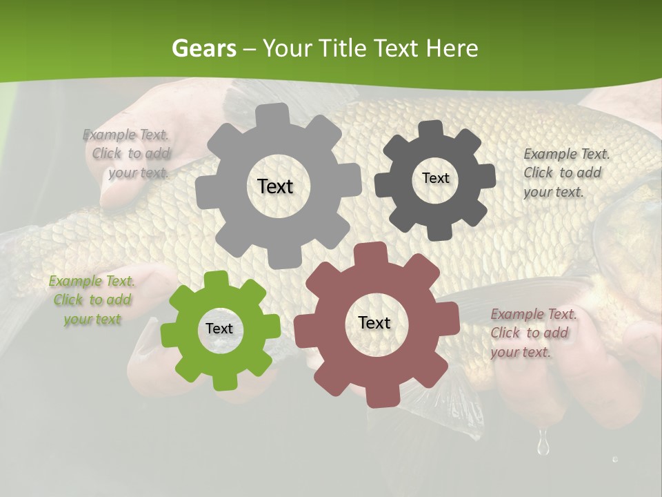 A Person Holding A Fish In Their Hands PowerPoint Template