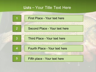 A Person Holding A Fish In Their Hands PowerPoint Template