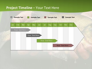 A Person Holding A Fish In Their Hands PowerPoint Template