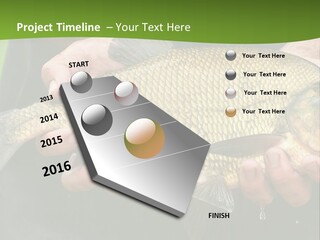 A Person Holding A Fish In Their Hands PowerPoint Template