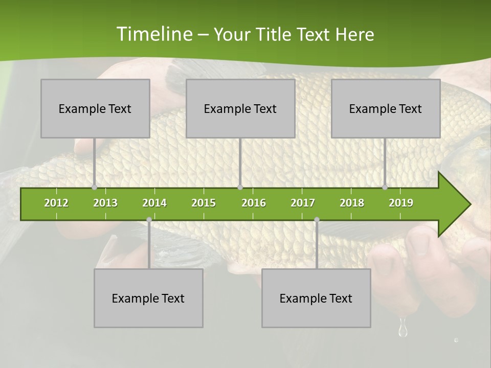 A Person Holding A Fish In Their Hands PowerPoint Template