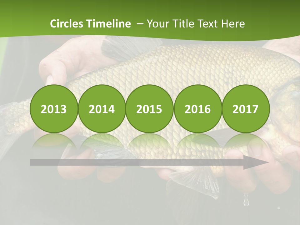 A Person Holding A Fish In Their Hands PowerPoint Template