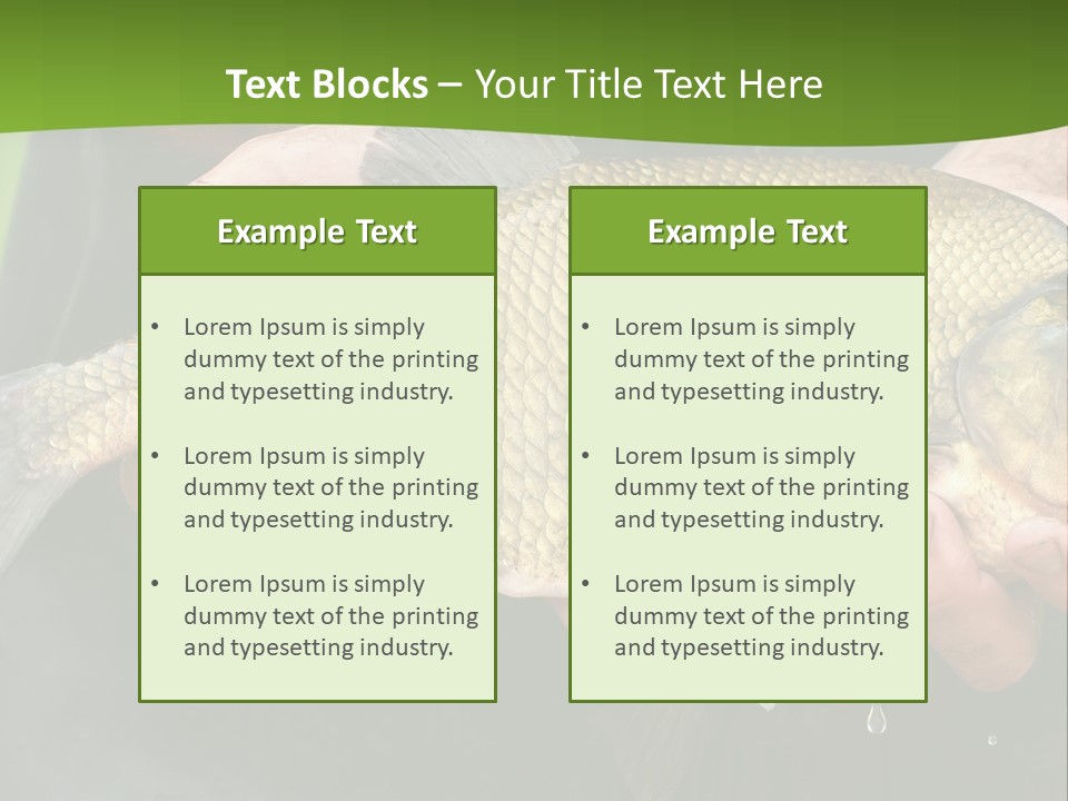 A Person Holding A Fish In Their Hands PowerPoint Template