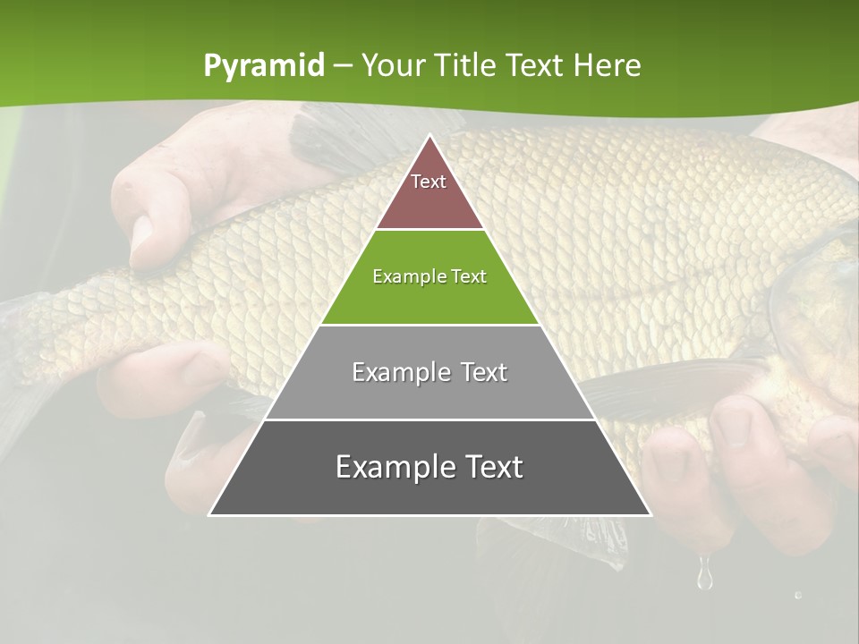 A Person Holding A Fish In Their Hands PowerPoint Template