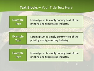 A Person Holding A Fish In Their Hands PowerPoint Template