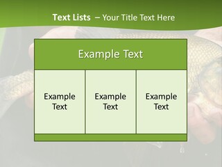 A Person Holding A Fish In Their Hands PowerPoint Template