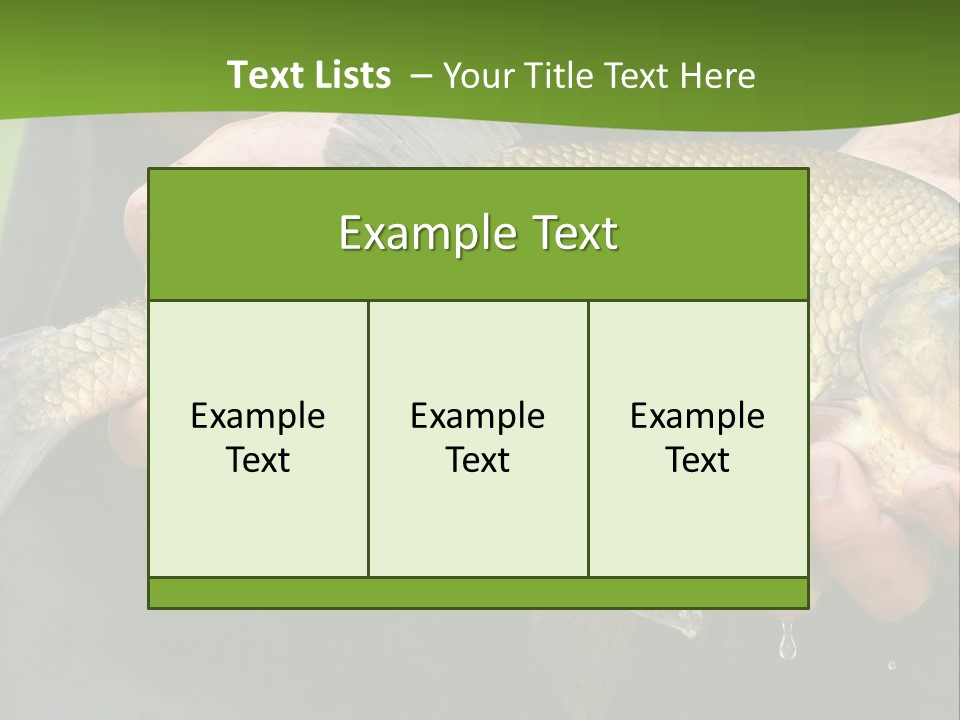 A Person Holding A Fish In Their Hands PowerPoint Template