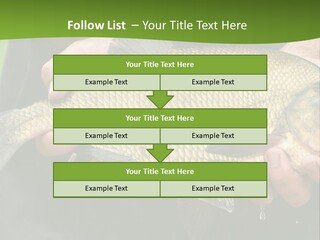 A Person Holding A Fish In Their Hands PowerPoint Template