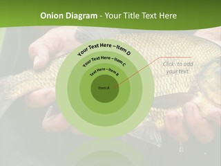 A Person Holding A Fish In Their Hands PowerPoint Template