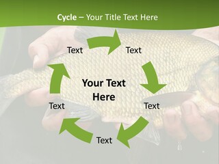 A Person Holding A Fish In Their Hands PowerPoint Template