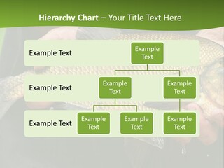 A Person Holding A Fish In Their Hands PowerPoint Template