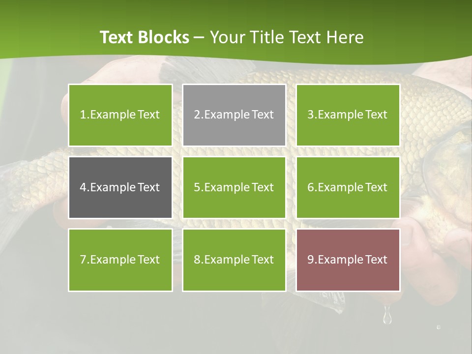 A Person Holding A Fish In Their Hands PowerPoint Template