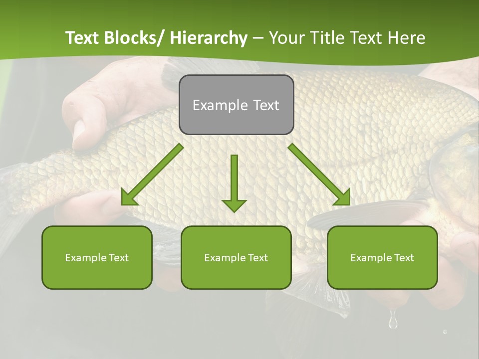 A Person Holding A Fish In Their Hands PowerPoint Template