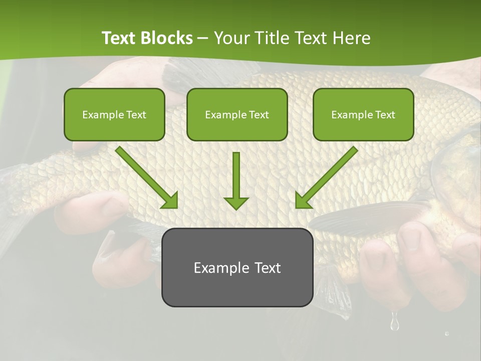 A Person Holding A Fish In Their Hands PowerPoint Template