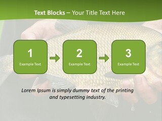 A Person Holding A Fish In Their Hands PowerPoint Template