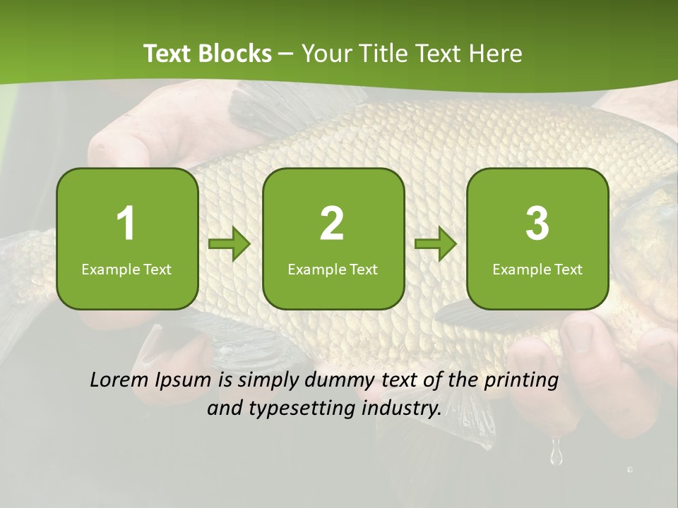 A Person Holding A Fish In Their Hands PowerPoint Template