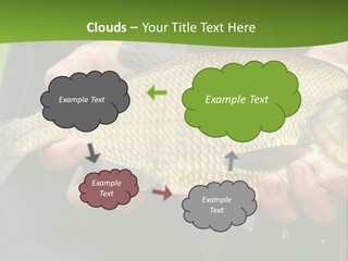 A Person Holding A Fish In Their Hands PowerPoint Template