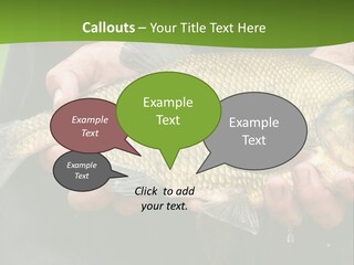 A Person Holding A Fish In Their Hands PowerPoint Template