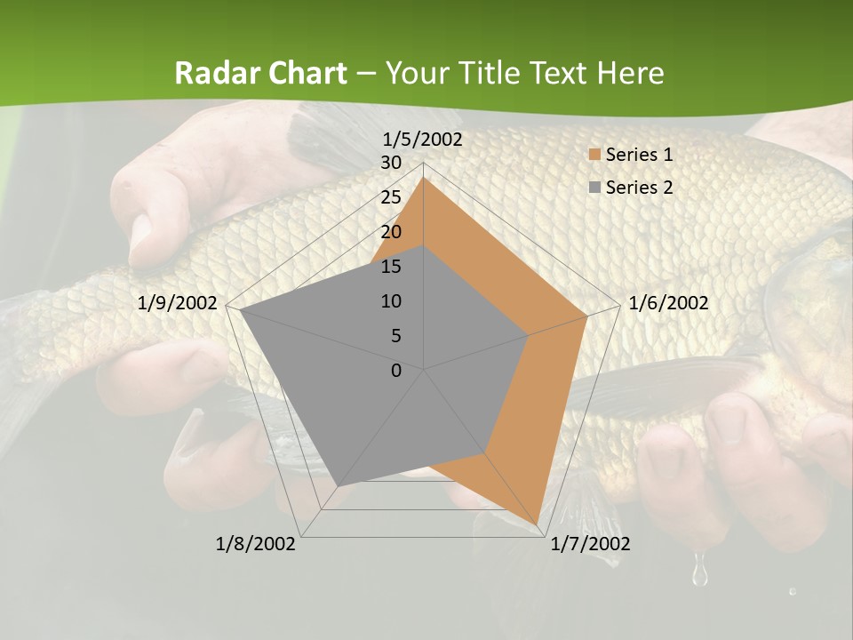 A Person Holding A Fish In Their Hands PowerPoint Template