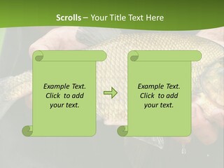 A Person Holding A Fish In Their Hands PowerPoint Template