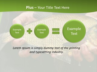 A Person Holding A Fish In Their Hands PowerPoint Template