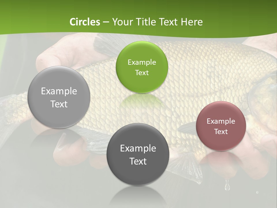 A Person Holding A Fish In Their Hands PowerPoint Template