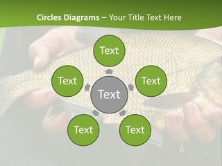 A Person Holding A Fish In Their Hands PowerPoint Template